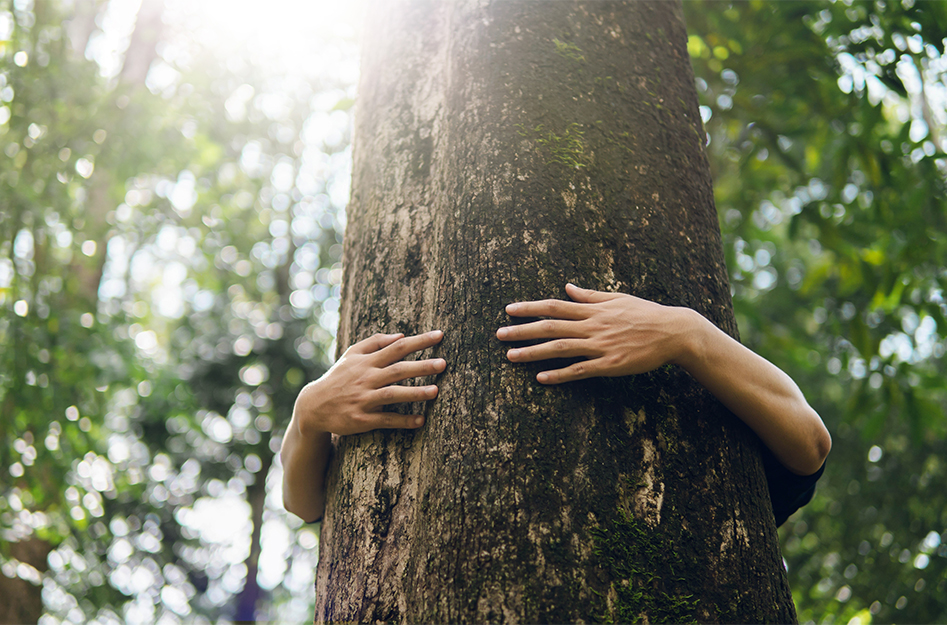 Person hugging a tree