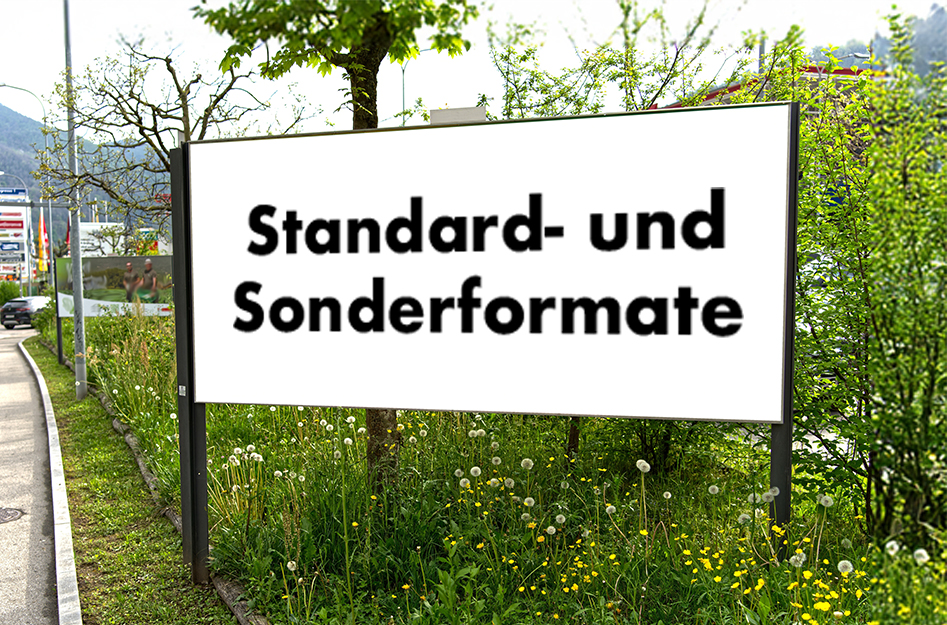 Plakatstelle am Strassenrand mit Plakat „Standard und Sonderformate“.
