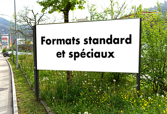 Emplacement d'affichage au bord de la route avec affiche 