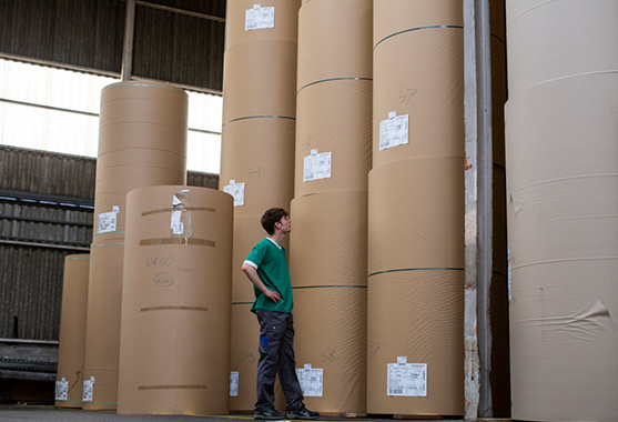 Entrepôt de matériel avec des rouleaux d'impression empilés, examinés par un employé de SCHELLING AG.